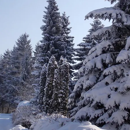 Apartmani Oko Zlatibor Exterior photo
